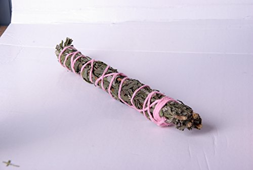 1-Smudge-Hummingbird-WandsHummingbird-Sage-Salvia-Mellifera-Smells-Like-Honey-B00KRG0408