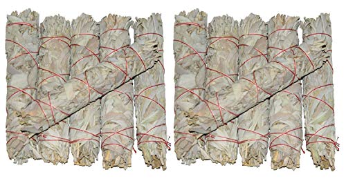 Incense-Large-Fine-White-Sage-Stick-Buffalo-Sage-22-cm-Length-Sage-Bundle-with-Full-Aroma-for-SMudging-an-shift-B00HB7ZCBW