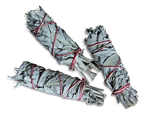 Pack-of-3-WHITE-SAGE-Medium-Smudge-Stick-5-6-30-40gr-Incense-fresh-from-California-B0179TY8JS