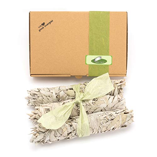 Salvia-Apiana-White-Sage-Purifier-Stick-3-x-64g-SticksPackagingBallotIncense-White-Sage-XXL-Smudge-8-9-Inches-2-B00IJYEJEC