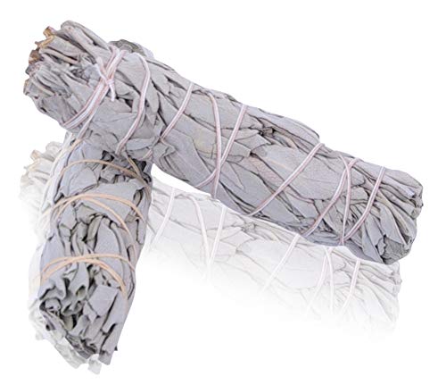 The-Original-Native-Spirit-White-SAGE-Smudge-Stick-4-45-25-35gr-Incense-Fresh-from-California-2-B013JU85HM